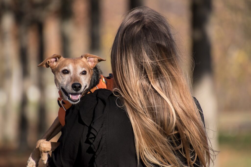 Erfahre, warum Impfungen für Hunde und andere Haustiere wichtig sind.