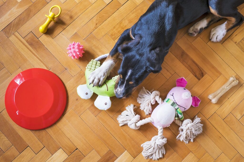 Kreative Tipps, wie du deinen Hund drinnen beschäftigen kannst. Ideen für Denkspiele, Bewegung, Nasenarbeit und Entspannung für Regentage.