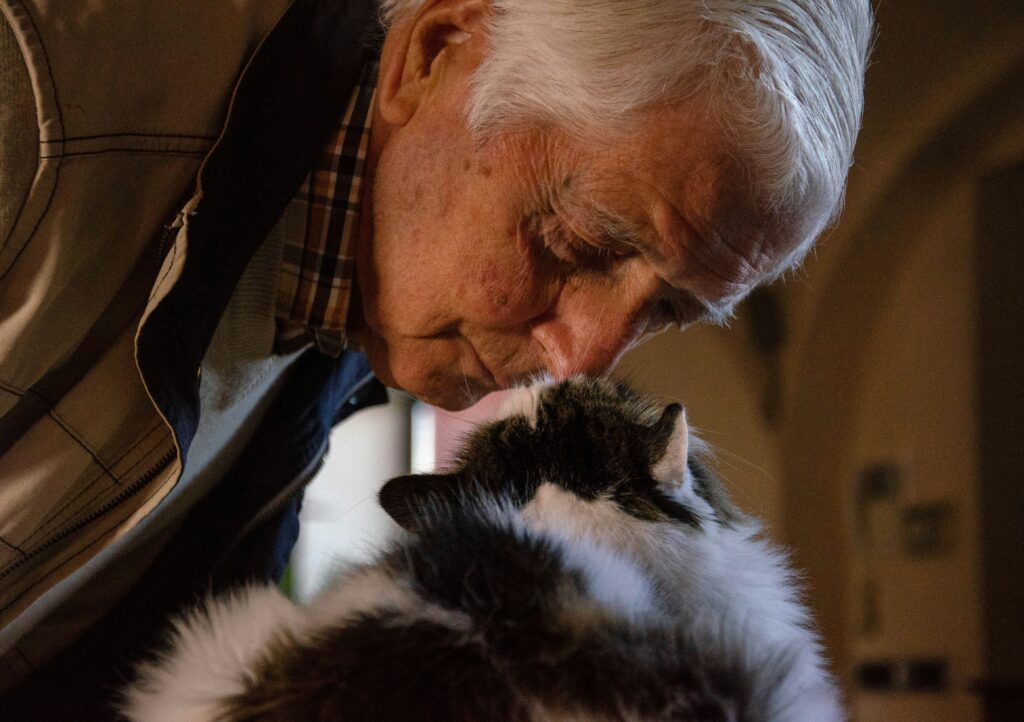 wie Katzen ihre Zuneigung auf einzigartige Weise zeigen: von zärtlichem Beißen und Bauchzeigen bis hin zu speziellen Schwanzpositionen und liebevollen "Geschenken".