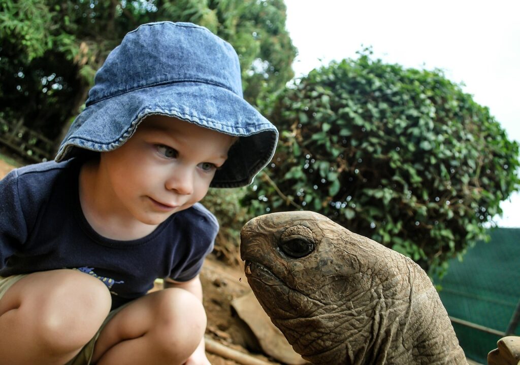 Kind und Schildkröte