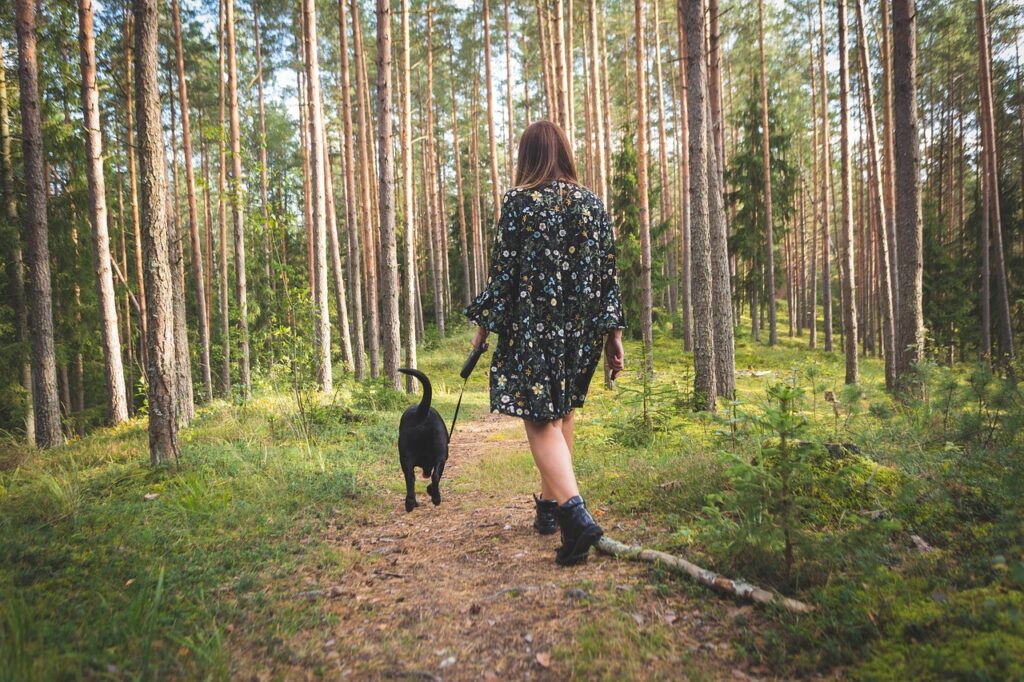 Erfahre, wie oft mit Hund raus optimal ist und welche Faktoren die ideale Häufigkeit und Dauer von Spaziergängen beeinflussen.