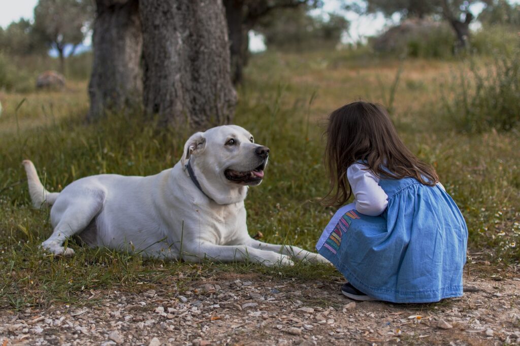 Hund und Kind