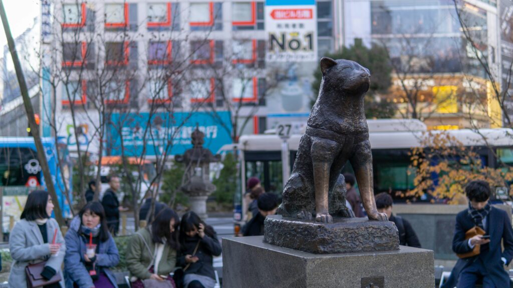 Hachiko wartete neun Jahre lang jeden Tag am Bahnhof Shibuya auf sein verstorbenes Herrchen und wurde so zum Symbol unerschütterlicher Treue. Heute erinnert eine Statue vor dem Bahnhof an den berühmten Akita-Hund, der weltweit Herzen rührte. Seine Geschichte zeigt, wie tief die Bindung zwischen Mensch und Tier sein kann.